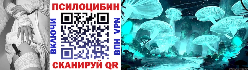 Галлюциногенные грибы Cubensis  Губкин 