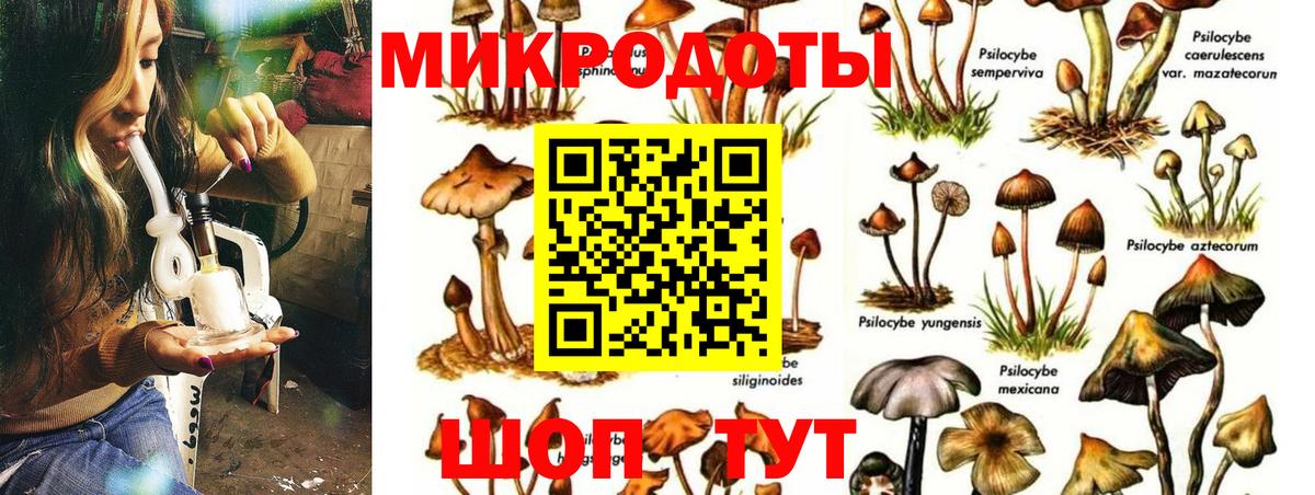 Губкин  Псилоцибиновые грибы MAGIC MUSHROOMS  Вход с VPN 