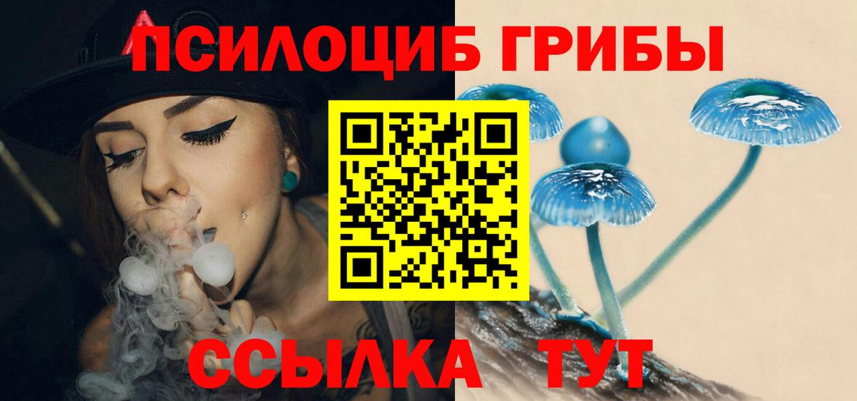 Галлюциногенные грибы MAGIC MUSHROOMS  Губкин  Галлюциногенные грибы GOLDEN TEACHER 