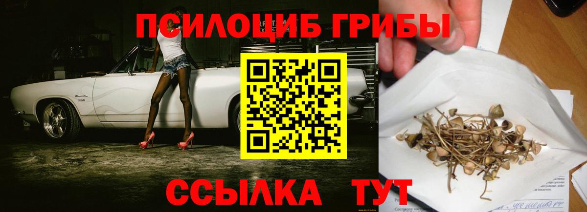 Галлюциногенные грибы GOLDEN TEACHER Губкин